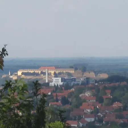 Beautiful House Sremska Kamenica